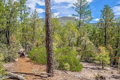 0 Fawn Dr #1B, Pine, AZ 85544