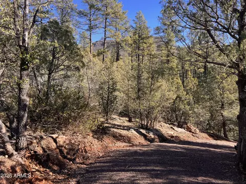 0 Fawn Dr #1B, Pine, AZ 85544 photo 11