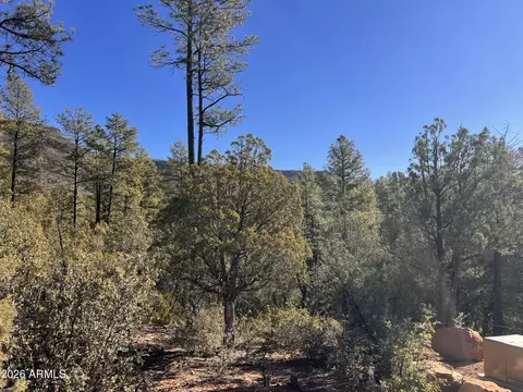 0 Fawn Dr #1B, Pine, AZ 85544 photo 17