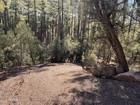 0 Fawn Dr #1B, Pine, AZ 85544 photo 12