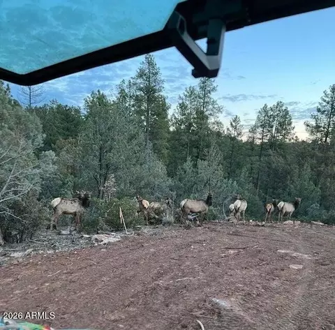 0 Fawn Dr #1B, Pine, AZ 85544