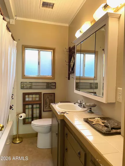 Bath - 132 Opera Dr, Bisbee, AZ 85603 photo 6 of 6