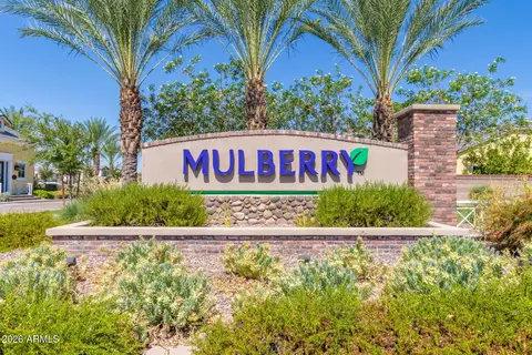 10139 E Naranja Ave, Mesa, AZ 85209 photo 38