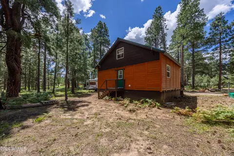 Other - 1225 Highway Loop, Forest Lakes, AZ 85931 photo 14 of 21