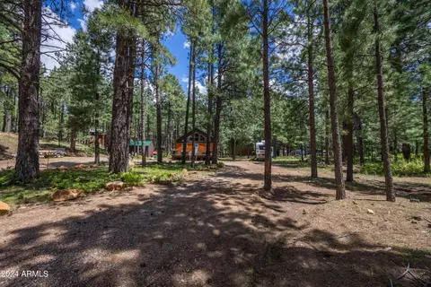 Other - 1225 Highway Loop, Forest Lakes, AZ 85931 photo 18 of 21