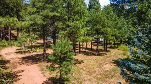 Other - 1225 Highway Loop, Forest Lakes, AZ 85931 photo 2 of 21