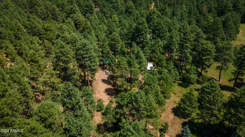Other - 1225 Highway Loop, Forest Lakes, AZ 85931 photo 21 of 21