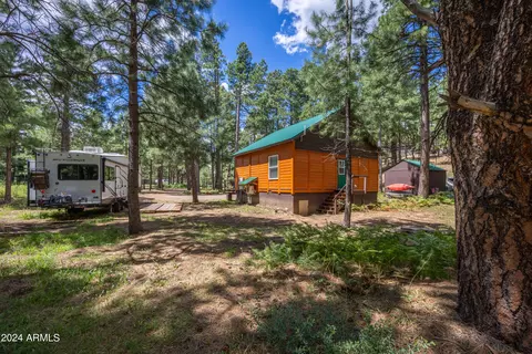 Other - 1225 Highway Loop, Forest Lakes, AZ 85931 photo 12 of 21
