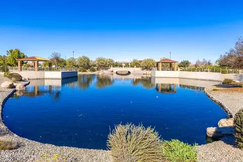 3843 E Narrowleaf Dr, Gilbert, AZ 85298 photo 48