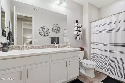 Bath - 10756 E Sheffield Dr, Mesa, AZ 85212 photo 3 of 4