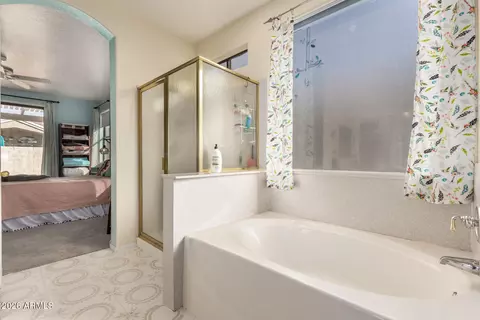 Bath - 3756 E Irwin Ave, Mesa, AZ 85206 photo 2 of 3