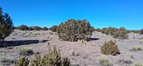 24 County Road N6578 -- #857, Saint Johns, AZ 85936