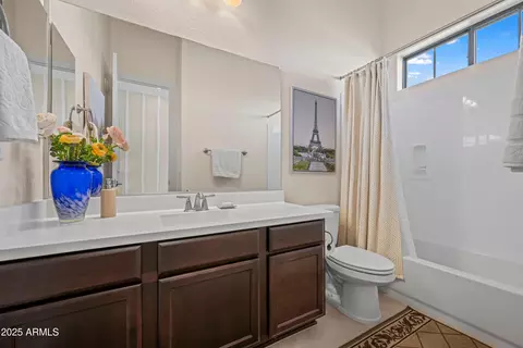 Bath - 3710 E Julep St, Mesa, AZ 85205 photo 6 of 6