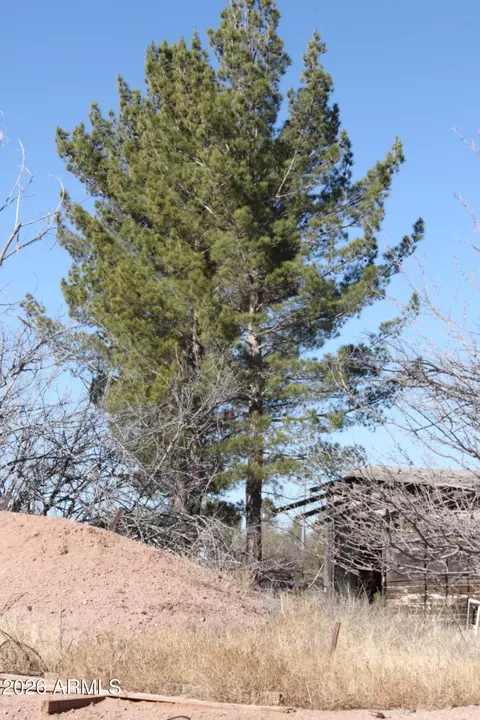 9073 S Oneil Rd #-, Hereford, AZ 85615 photo 5