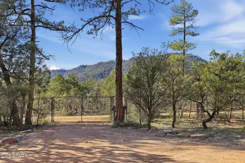 4023 N Pine Rd, Pine, AZ 85544