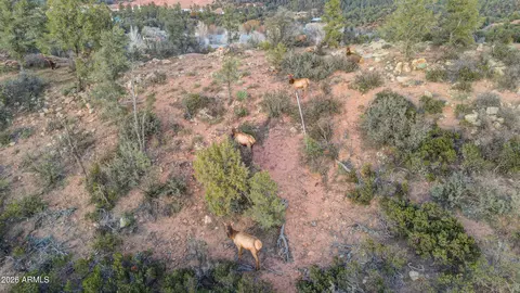 105 E Pine Ridge Dr, Payson, AZ 85541 photo 57