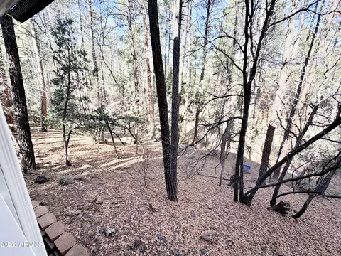 Other - 6870 W Robbin Ln, Pine, AZ 85544 photo 14 of 16