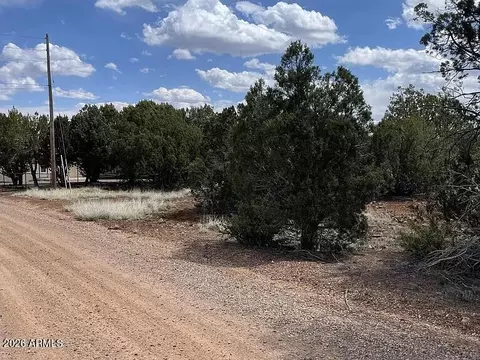 1879 Turkey Flat Pl #17, Show Low, AZ 85901
