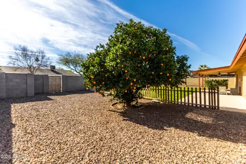 Exterior - 2813 E Cortez St, Phoenix, AZ 85028 photo 5 of 7