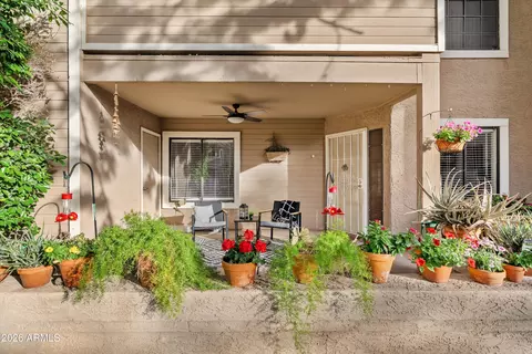 Exterior - 5230 E Brown Rd #117, Mesa, AZ 85205 photo 3 of 8