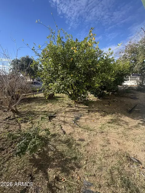 Other - 2136 E Lemon St, Tempe, AZ 85281 photo 1 of 7