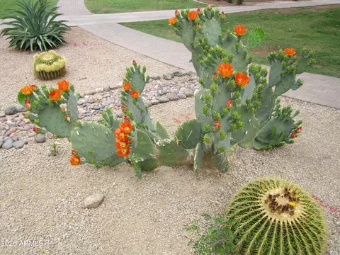 Other - 4303 E Cactus Rd #419, Phoenix, AZ 85032 photo 5 of 7