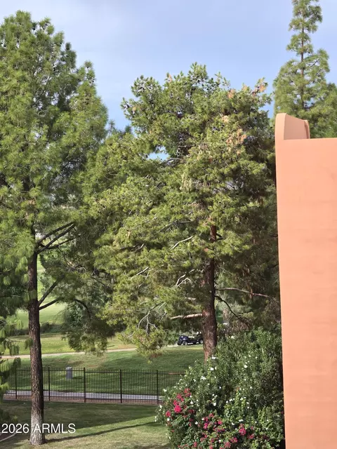 Other - 4303 E Cactus Rd #419, Phoenix, AZ 85032 photo 10 of 11