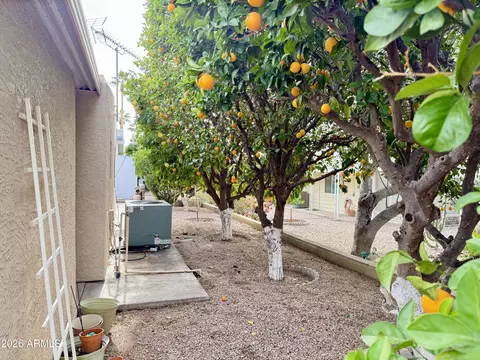2710 N Wright Way, Mesa, AZ 85215 photo 46