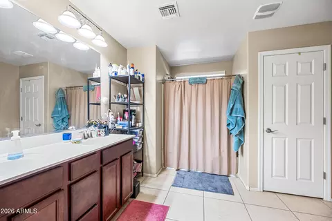 Bath - 867 S Swallow Ln, Gilbert, AZ 85296 photo 1 of 2