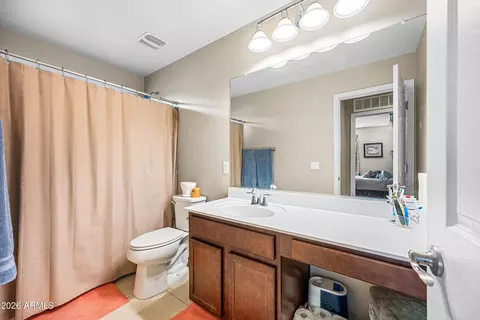 Bath - 867 S Swallow Ln, Gilbert, AZ 85296 photo 2 of 2