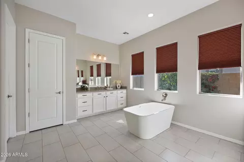 Bath - 3554 E Gemini Pl, Chandler, AZ 85249 photo 3 of 6