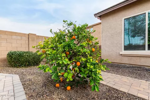 Exterior - 2960 E Derringer Way, Gilbert, AZ 85297 photo 10 of 20