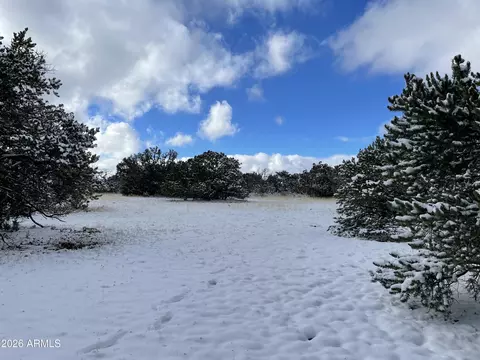 13537 Bly Station Rd #414, Williams, AZ 86046