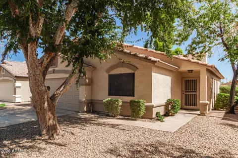 337 N Abalone Dr, Gilbert, AZ 85233 photo 5