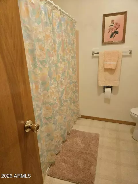 Bath - 811 E Clanton Ave, Buckeye, AZ 85326 photo 3 of 3