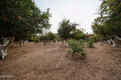 Exterior - 2005 N Pomelo --, Mesa, AZ 85215 photo 15 of 16