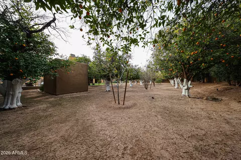 Exterior - 2005 N Pomelo --, Mesa, AZ 85215 photo 14 of 16