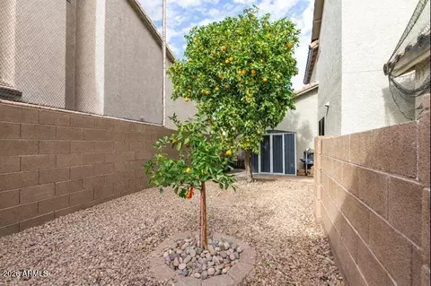 Exterior - 1355 E Betsy Ln, Gilbert, AZ 85296 photo 10 of 10