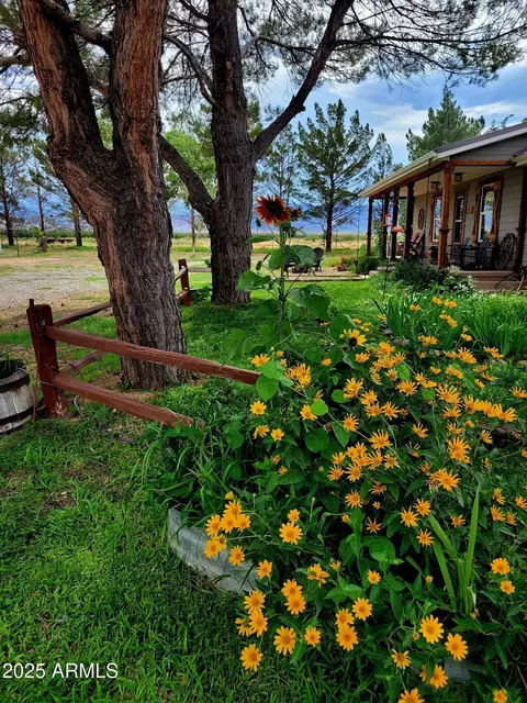 8255 N Fort Grant Rd, Willcox, AZ 85643