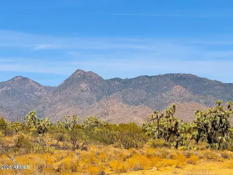 tbd S Rawhide Rd 3882 Acres -- #-, Yucca, AZ 86438