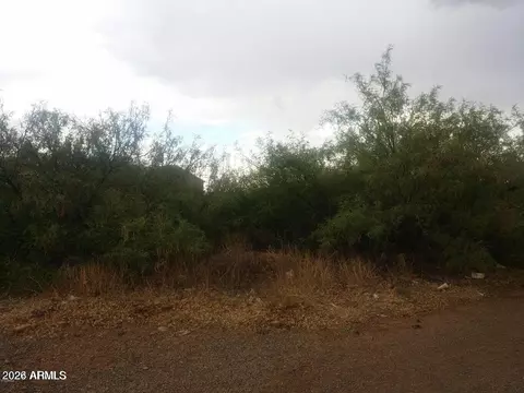 NNNN Florida Avenue #'''-''', Douglas, AZ 85607