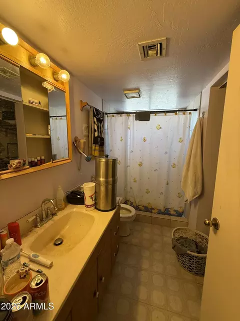 Bath - 5135 E Downing St, Mesa, AZ 85205 photo 3 of 3