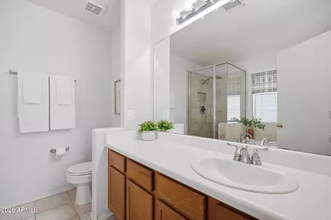 Bath - 2546 E Camellia Dr, Gilbert, AZ 85296 photo 2 of 4