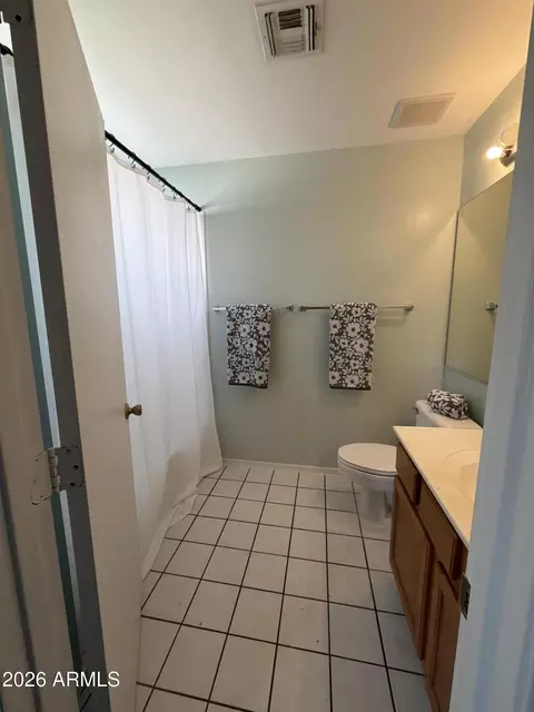 Bath - 2056 E San Tan Ct, Gilbert, AZ 85296 photo 2 of 3