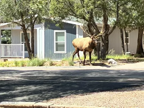 604 E Bonita St, Payson, AZ 85541