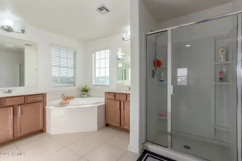 Bath - 10162 E Theorem Dr, Mesa, AZ 85212 photo 1 of 4