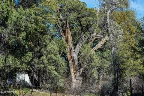Other - 52162 E Black Jack Rd, Miami, AZ 85539 photo 13 of 19
