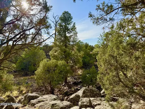 1838 Rocky Bottom Pl #-, Show Low, AZ 85901