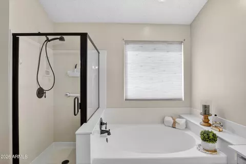 Bath - 7305 E Clovis Ave, Mesa, AZ 85208 photo 4 of 5