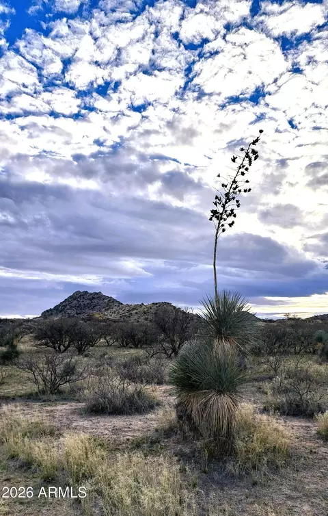 tbd E Walker Ranch Rd #'-', Dragoon, AZ 85609 photo 21